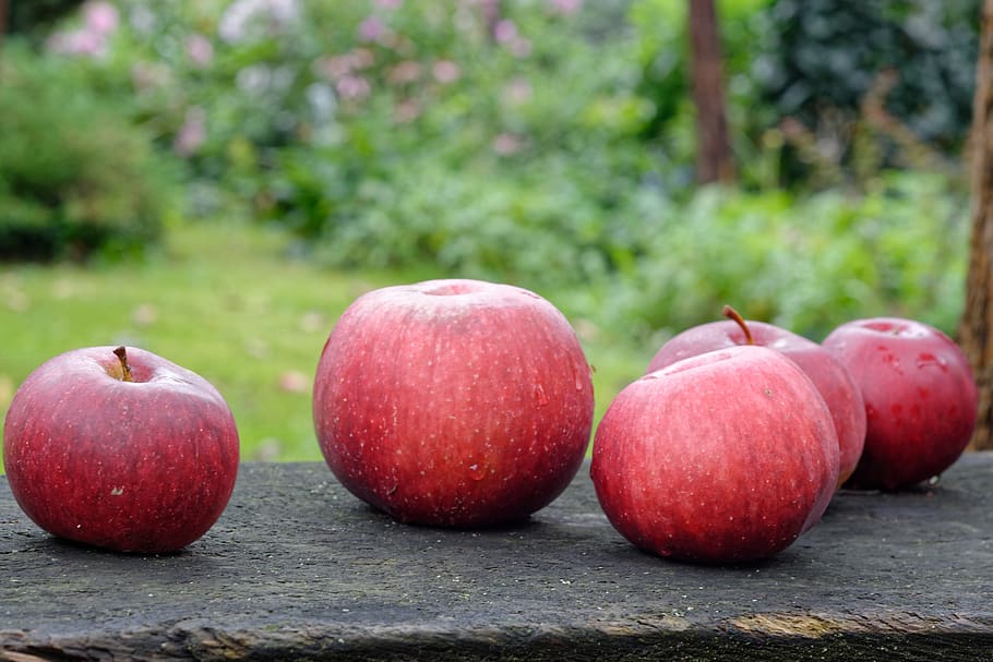 manzana, manzanas, fruta, jardín, maduro, rojo, saludable, comida, alimentación saludable, comida y bebida