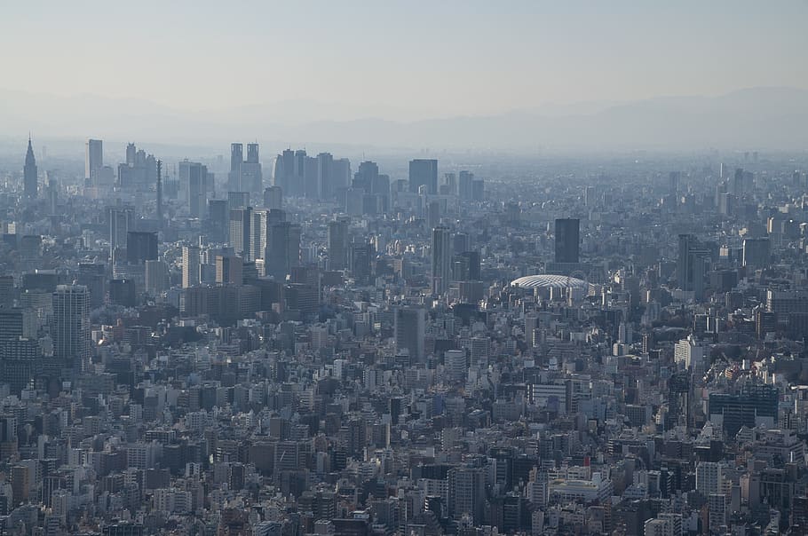 Tokio, Japón, ciudad, horizonte, arquitectura, viajar, japonés, mañana, neblina, smog