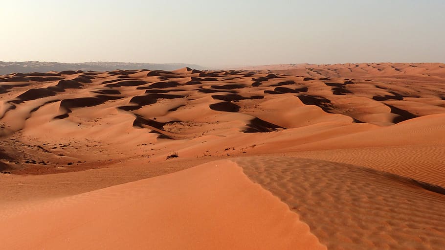 desierto, duna, dunas, arena, omán, paisaje, puesta de sol, clima, duna de arena, clima árido