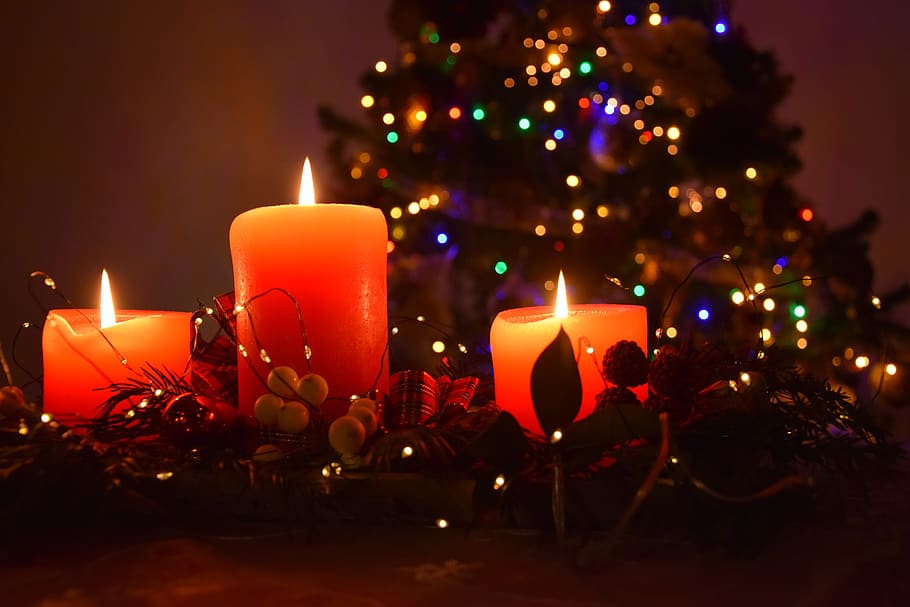 candles, mood, the flame, christmas, christmas tree, candle, illuminated, decoration, burning, fire