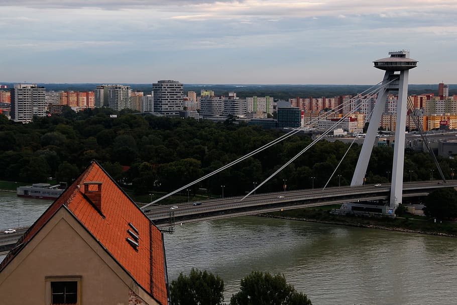 Bratislava, céntrico, torre, calle, Eslovaquia, catedral, río, viaje, visión, día