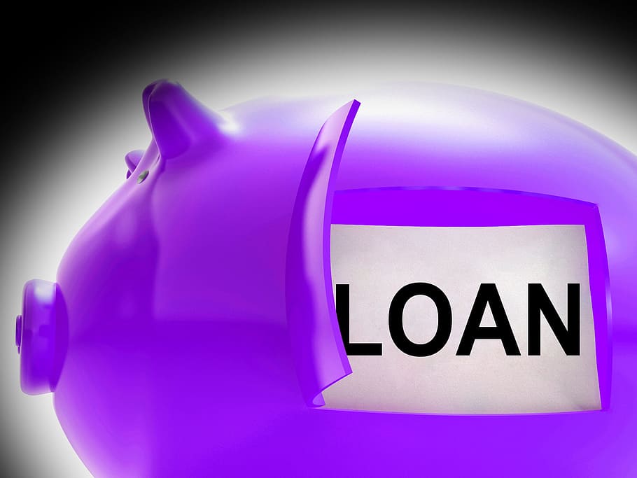 loan, piggy, bank, message, meaning, money, borrowed, creditor, bank loan, borrow