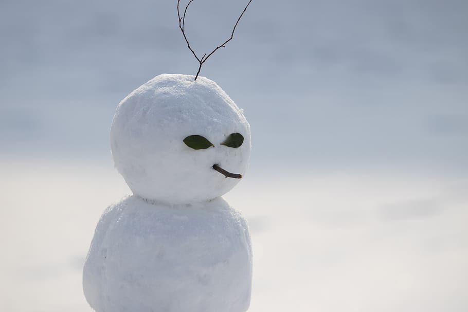 neve, boneco de neve, inverno, natal, diversão, flocos de neve, branco puro, feliz, branco, fofa