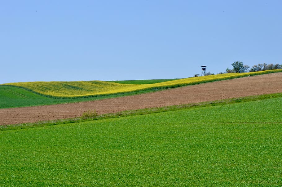 spring, fields, agriculture, sky, rural, arable land, hill, hilly, grass, oilseed rape