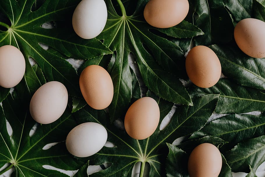 huevos frescos, alimentos, arriba, orgánicos, huevos, pascua, flatlay, flat lay, ingrediente, huevo