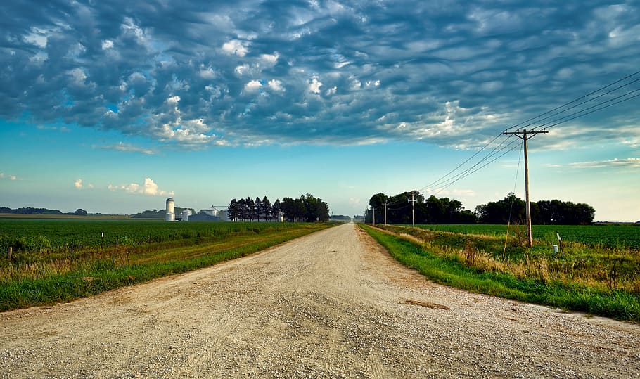 country road, iowa, soybean fields, farm, agriculture, panorama, landscape, america, sky, clouds