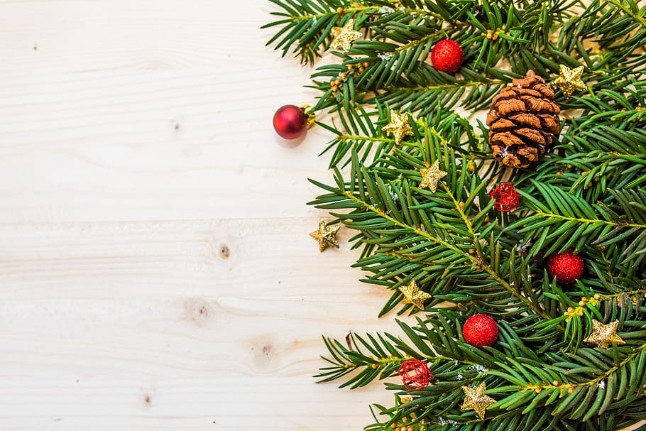 memetik, cabang, natal, bola natal, pohon natal, konifer, termasuk jenis pohon jarum, dekorasi, cemara, jarum