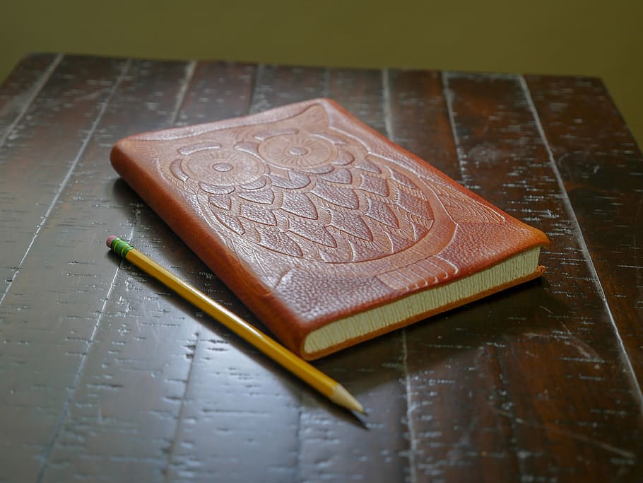 cuaderno búho, lápiz, sentado, madera, escritorio, plano, educación, símbolo, estudio, búho