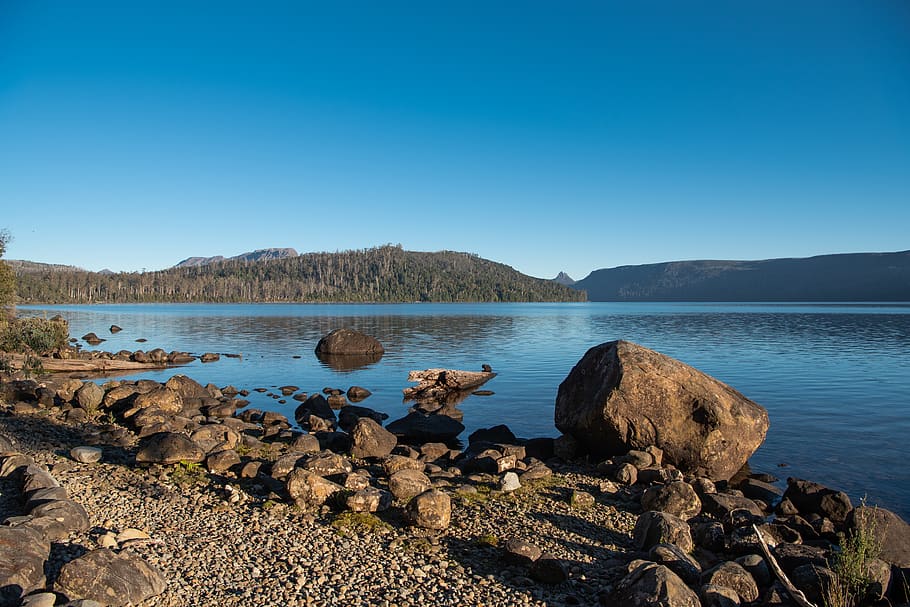 Lake St Clair, озеро, Cynthia Bay, Тасмания, природа, пейзаж, Мирный, по-прежнему, декорации, место действия