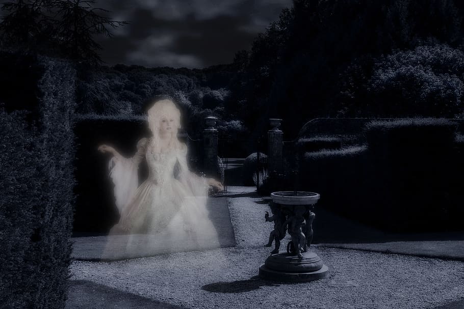 ghost, apparition, creepy, scary, garden, hedges, path, fountain, gate, wood