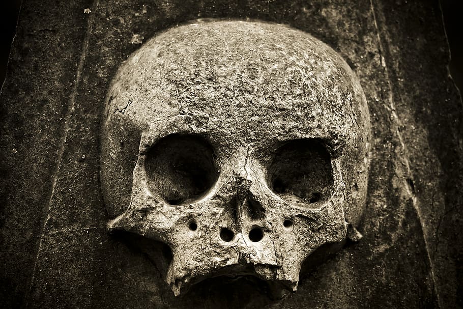 crânio, esqueleto, natureza, sepultura, cemitério, medo, fechar-se, velho, morto, pedra
