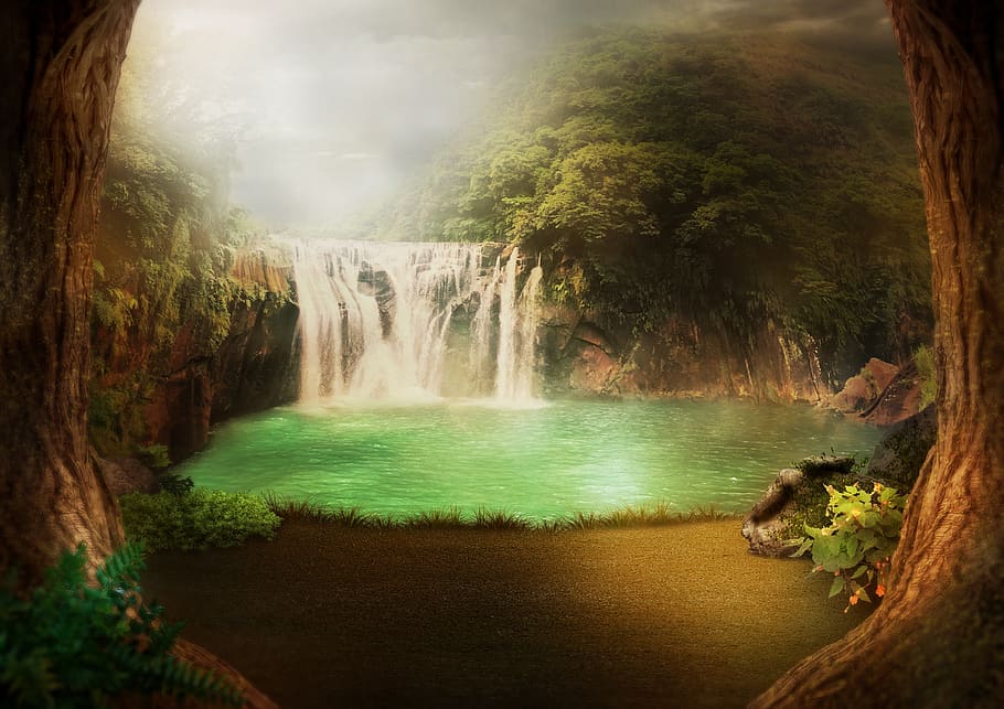 background image, waterfall, jungle, lake, flowers, mountains, plant, fog, sunny, cascade