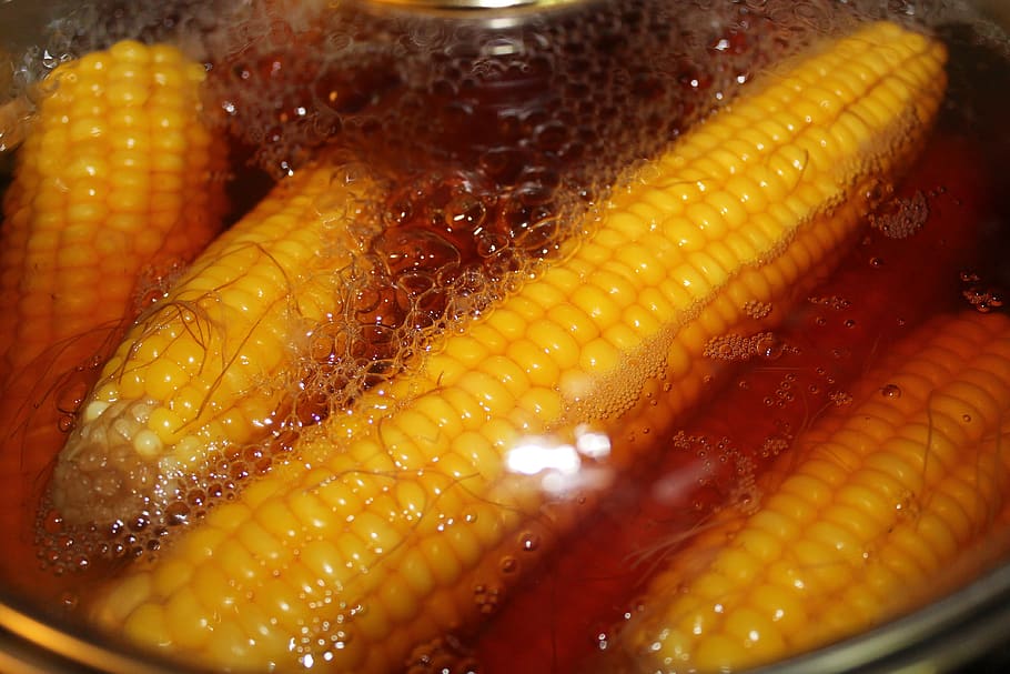 corn, nutrition, yellow, boiling, pot, water, food and drink, food, freshness, wellbeing