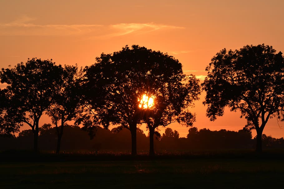 sunset, rheiderland include a, nature, dusk, sunlight, mood, summer, sky, atmospheric, orange
