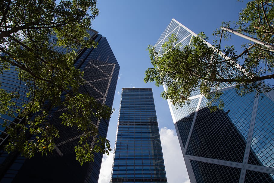 Hong Kong, azul, céu, edifícios, arquitetura, estrutura construída, exterior do edifício, árvore, cidade, construção