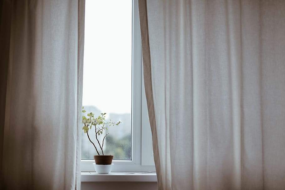 window, curtains, plant, vase, decor, bedroom, sleep, curtain, indoors, home interior