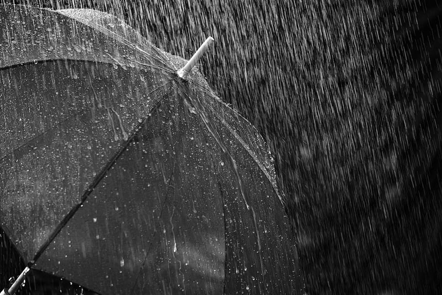 lluvia, paraguas, pantalla, protección, agua, mojado, goteo, gota de lluvia, clima, tormenta eléctrica