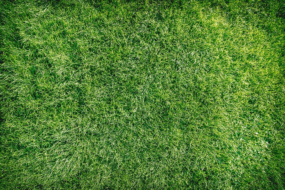 hijau, tekstur latar belakang rumput, tekstur., warna hijau, rumput, tanaman, full frame, latar belakang, alam, sepak bola