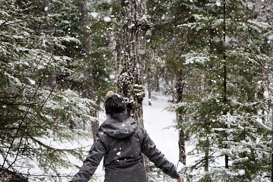 snow, snowing, cold, winter, outdoors, forest, woods, trees, nature, girl