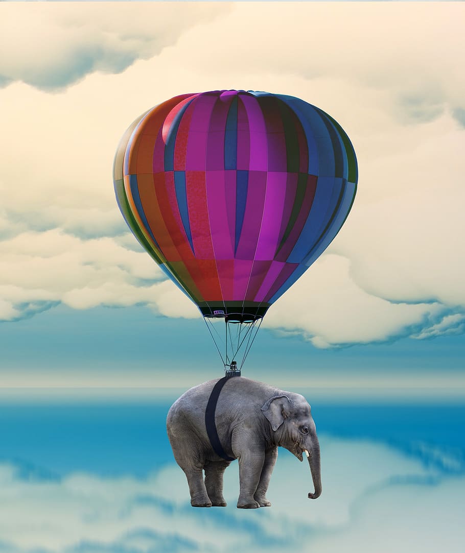 elephant, balloon, flying, weightless, hot air balloon ride, floating, captive balloon, indian elephant, pachyderm, ease