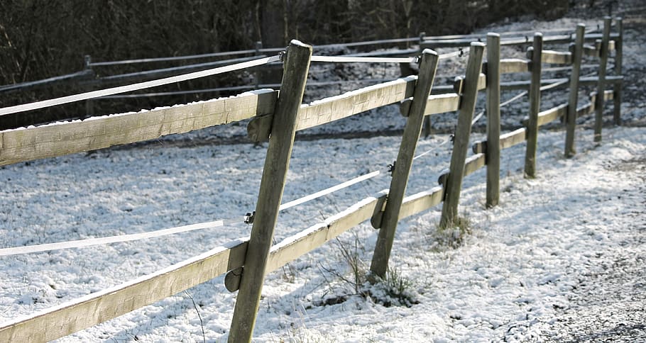 pasture fence, snow, coupling, paddock, winter, nature, fence, post, wire, demarcation