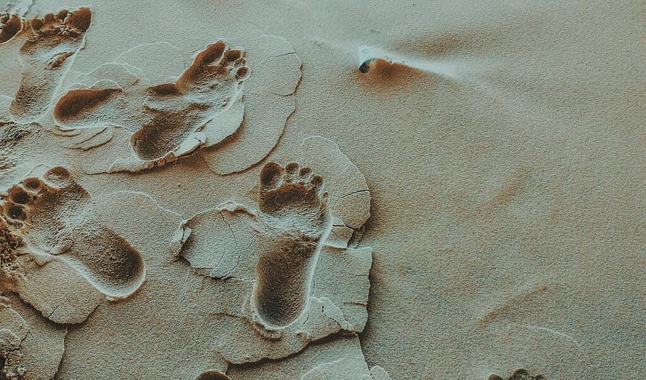 footprints, sand, beach, desert, outdoors, feet, foot, land, high angle view, nature