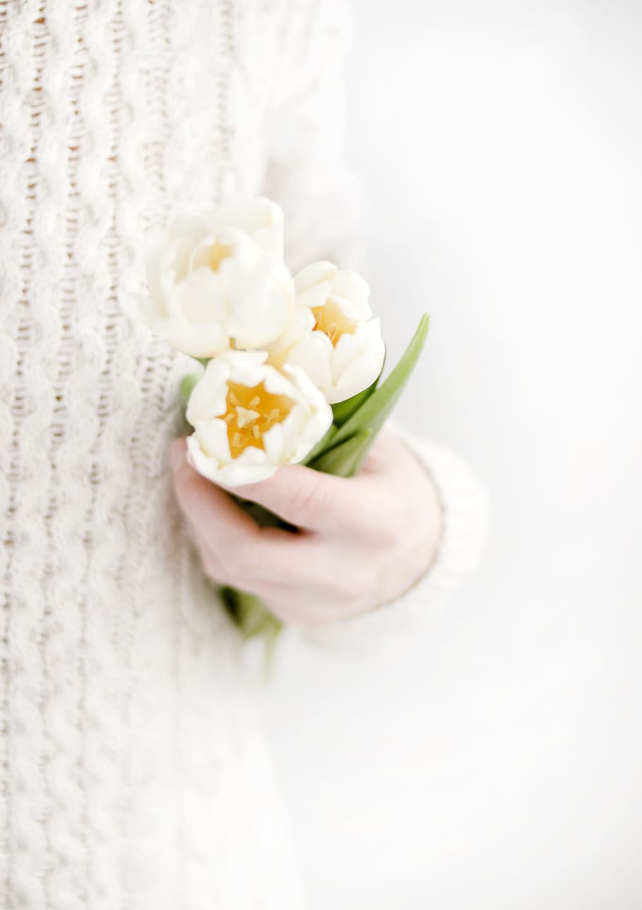 woman, holding, white flowers, nature, fauna, people, female, girl, yellow, hand