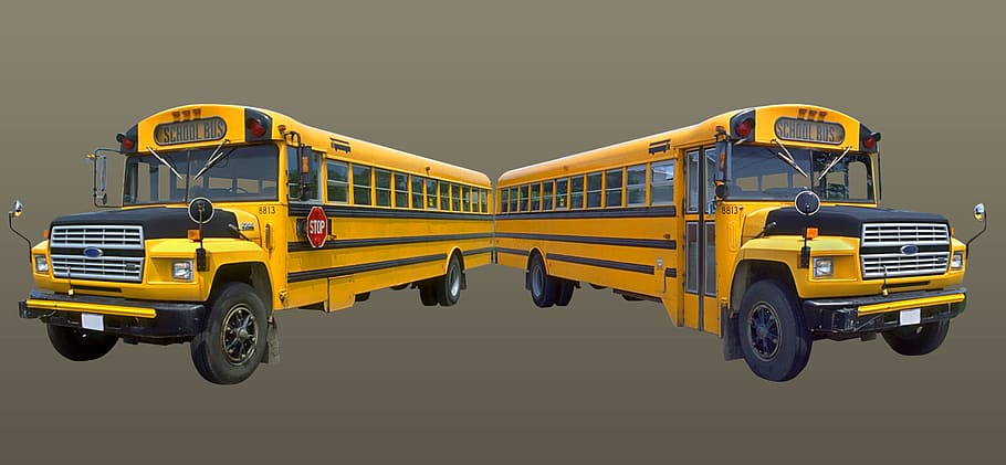 bus, school, transport, truck, yellow, service, transportation, mode of transportation, land vehicle, motor vehicle