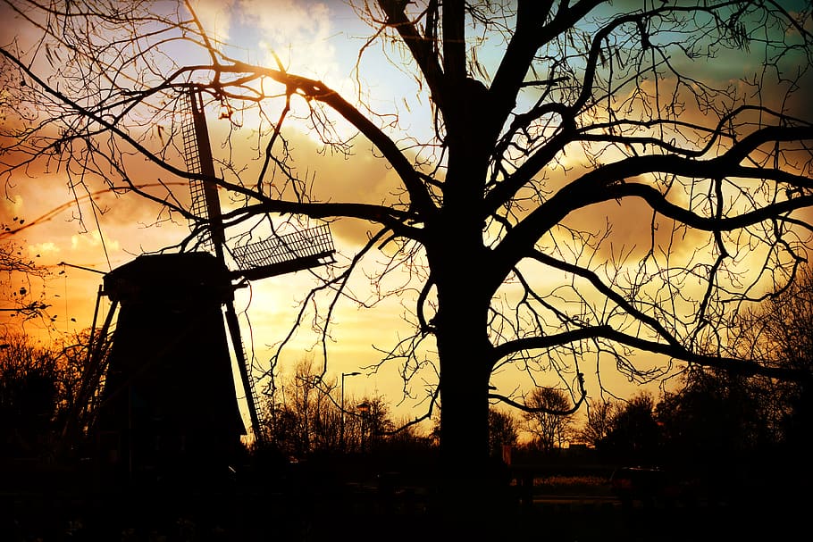 windmill, mill, dutch, tree, sunset, silhouette, rural, countryside, sky, bare tree