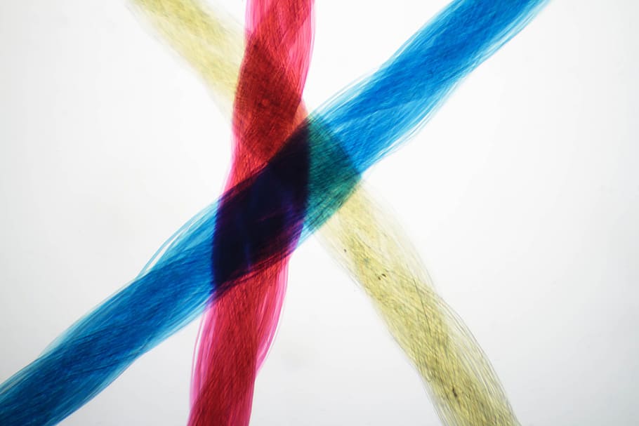 visão do microscópio, fibra de seda, seda, fibra, textura, corda, colorida, azul, vermelho, natural