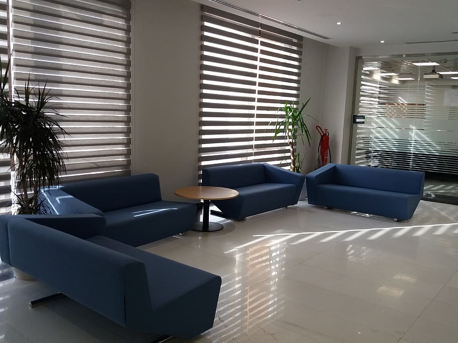 interior, sofa, blue, office, waitingroom, workplace, furniture, domestic room, living room, blinds