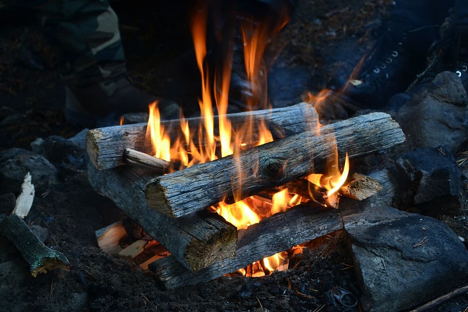 fire, campfire, flames, wood, heat, camp fire, blaze, warm, inferno, marshmallow