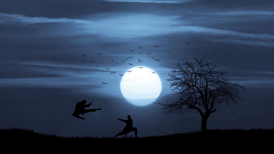 silhouetted, figures, fighting, martial, arts, kung fu, large, moon., action, moonlight