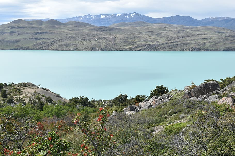 patagonia, torres del paine, parque nacional, montanhas, paisagem, chile, natureza, lago grey, panorama da montanha, américa do sul