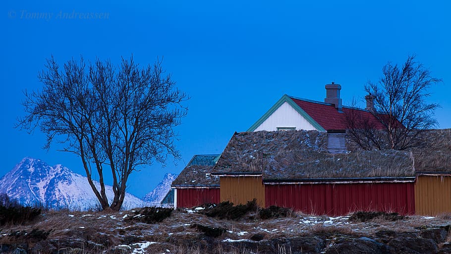 utara-Norwegia, Norway, nordland, musim dingin, pemandangan, arktik, perjalanan, salju, gunung, putri Salju