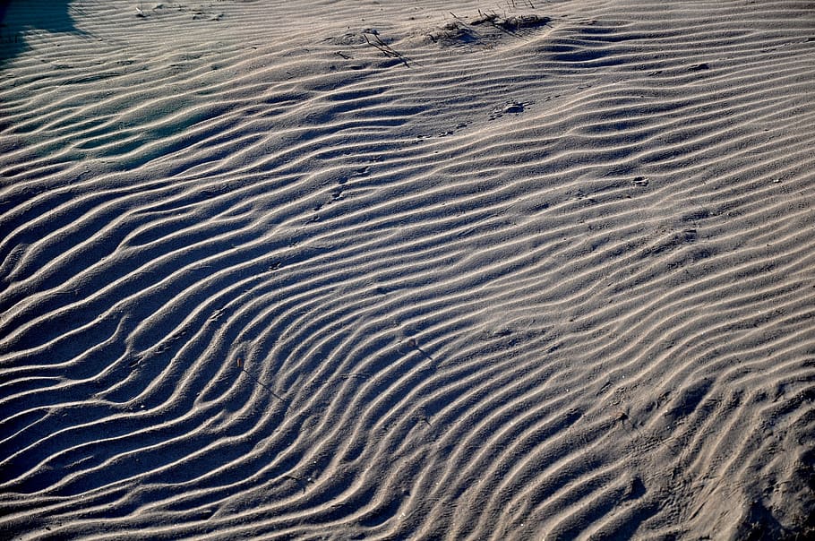 pasir, pantai, pola, gambar, angin, paralelisme, relief, erosi, musim panas, timur