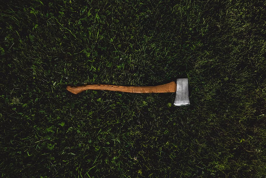 axe in grass, various, axe, tool, tools, work, grass, high angle view, nature, plant