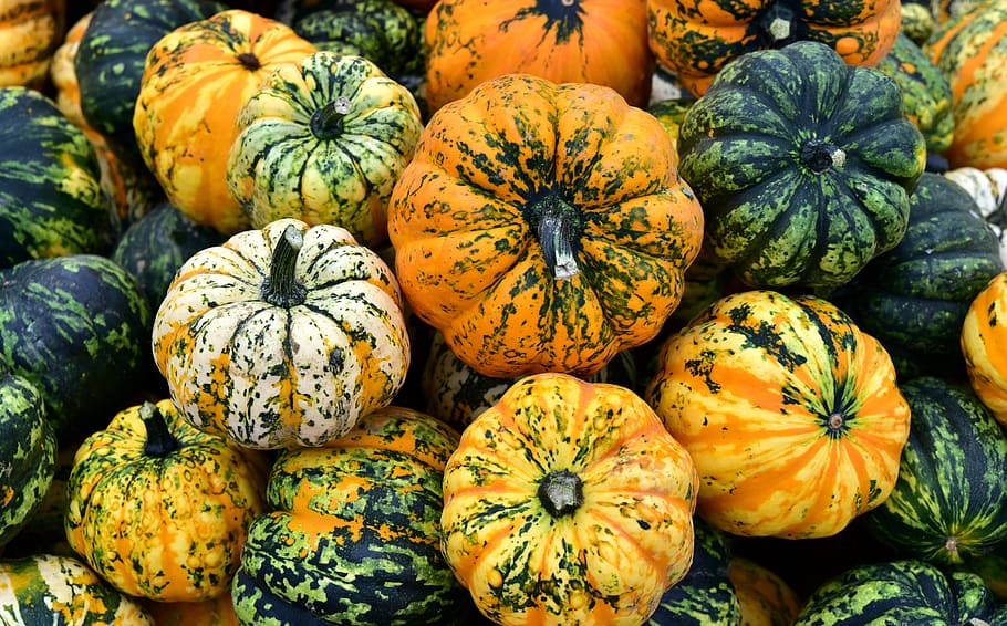 microwave pumpkin, butter cream, surprise, pumpkin, background, autumn, orange, october, vegetables, food
