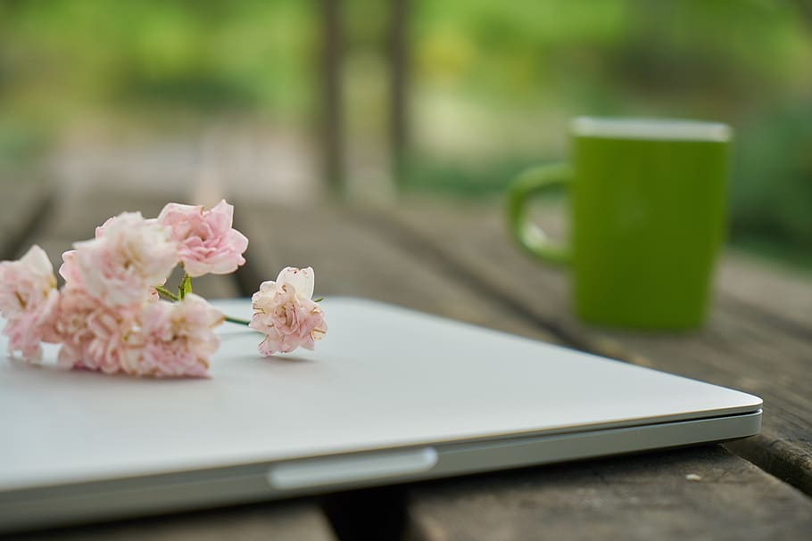 technology, computer, keyboard, flower, nature, work, the work, coffee, office, table