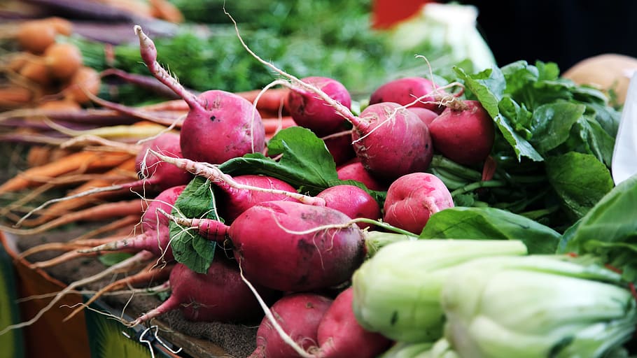 sayuran, lobak, hijau, kesehatan, diet, sehat, kebugaran, makanan, pasar, makanan dan minuman