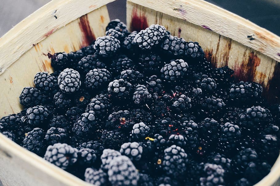 blackberry yang baru dipetik, beri, hitam, blackberry, alam, makanan dan minuman, makanan, buah beri, buah, makanan sehat