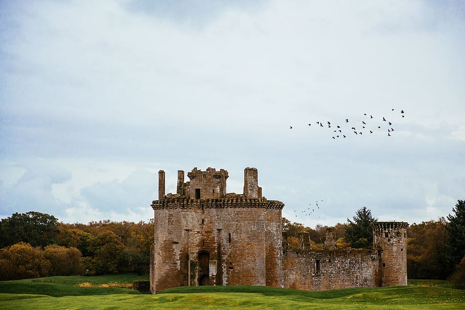 aves, volando, castillo caerlaverock, ubicado, sur, costa, escocia, arquitectura, castillo, patrimonio