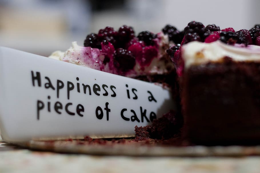 blueberry, fruit, sweets, dessert, cake, cheesecake, food, slice, text, quote