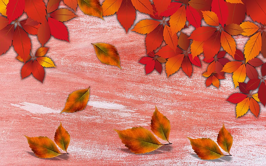 background, texture, background autumn, autumn, leaves, falling leaves, color, leaf, orange color, change