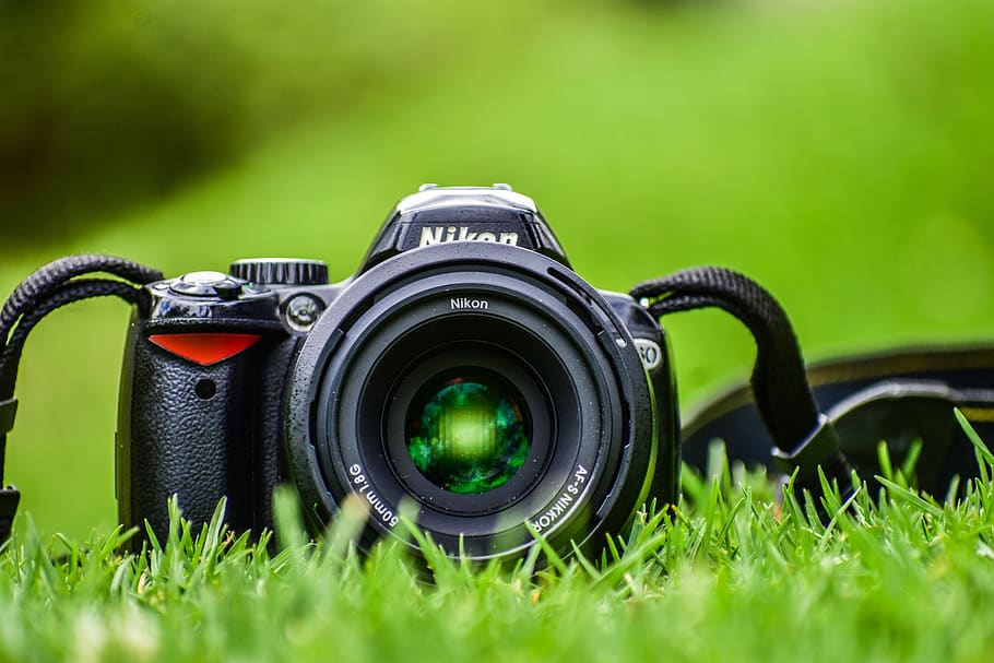 camera, grass, lens, straps, nikon, digital camera, camera - photographic equipment, photography themes, technology, plant