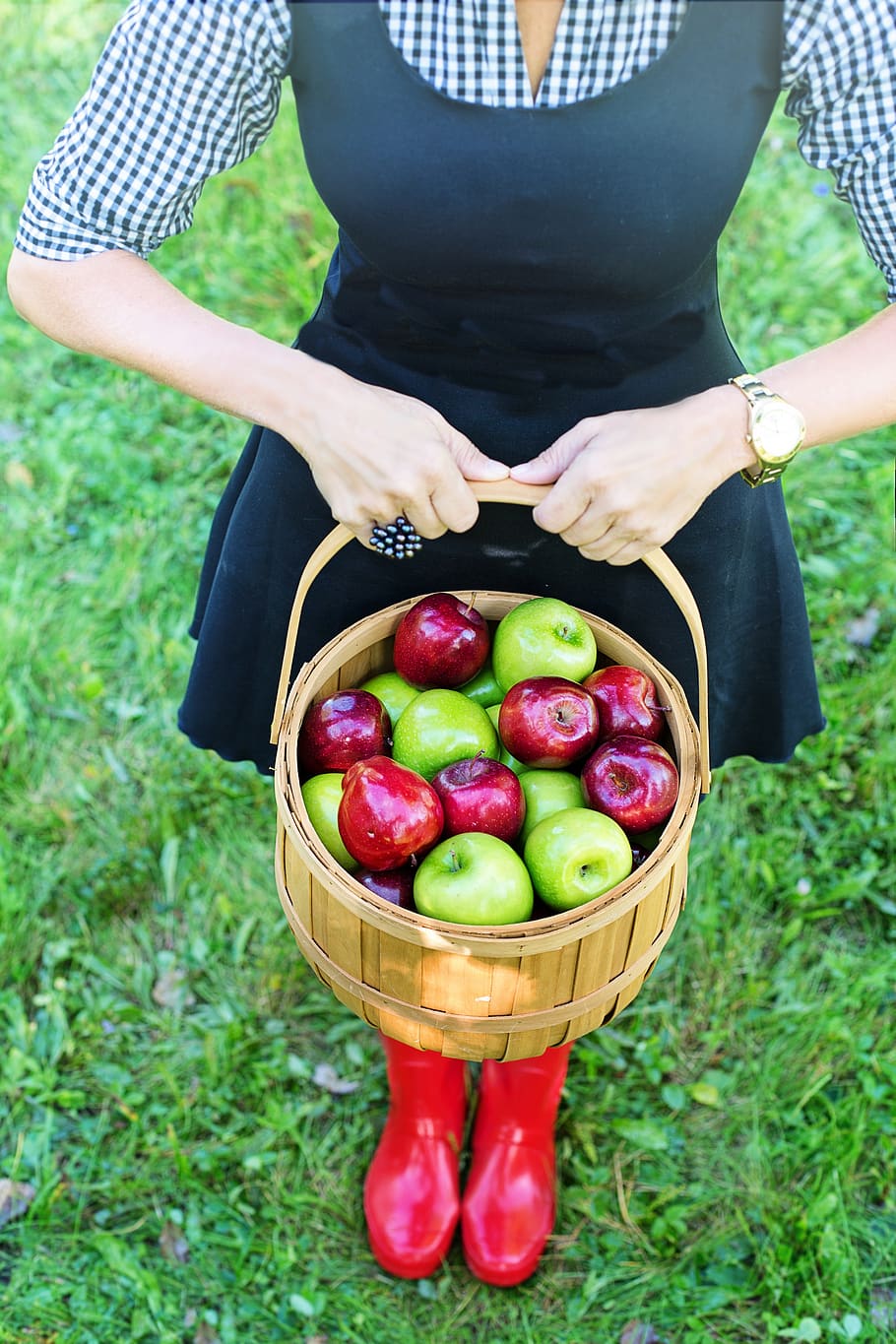 basket of apples, apple picking, woman, autumn, fall, fruit, basket, healthy, apples, nature