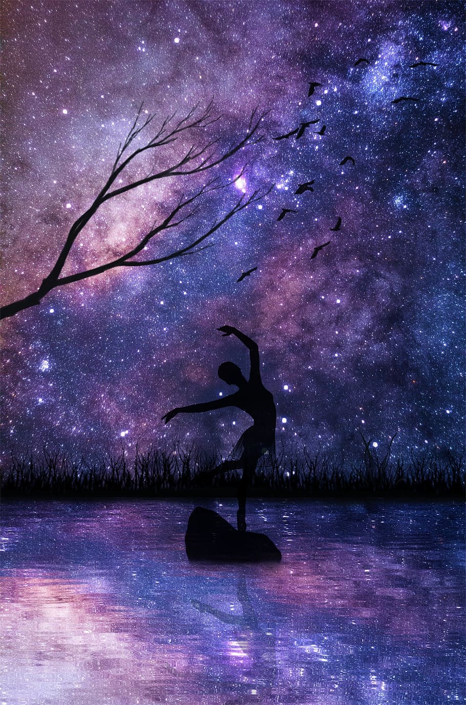 dancer, reflection, water, women, girl, tree, birds, nebula, night, stone