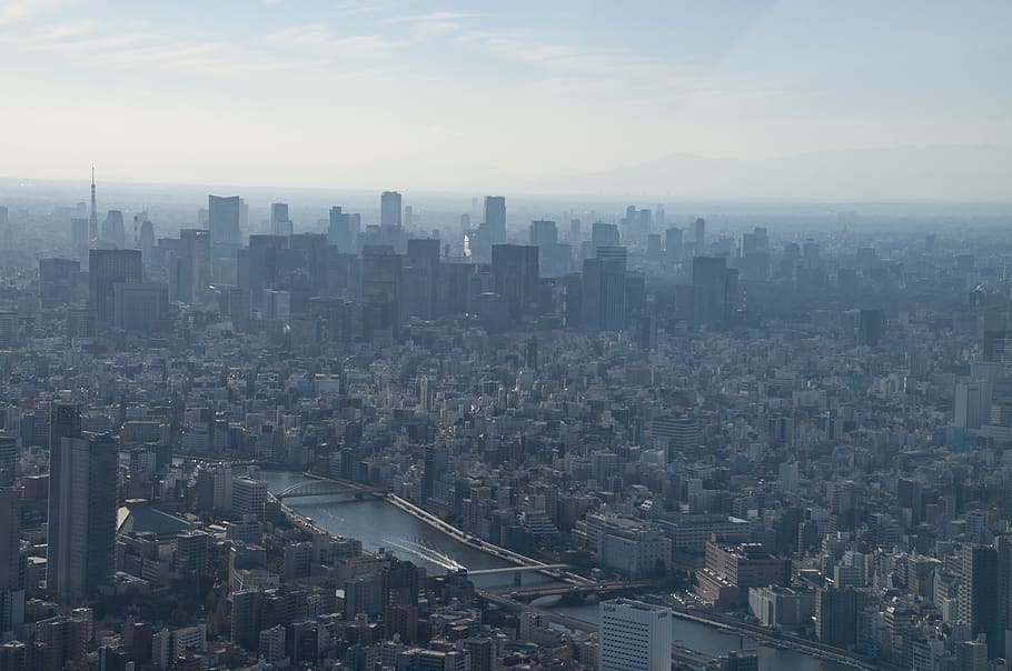 tóquio, japão, cidade, linha do horizonte, arquitetura, viagem, japonês, manhã, neblina, poluição atmosférica