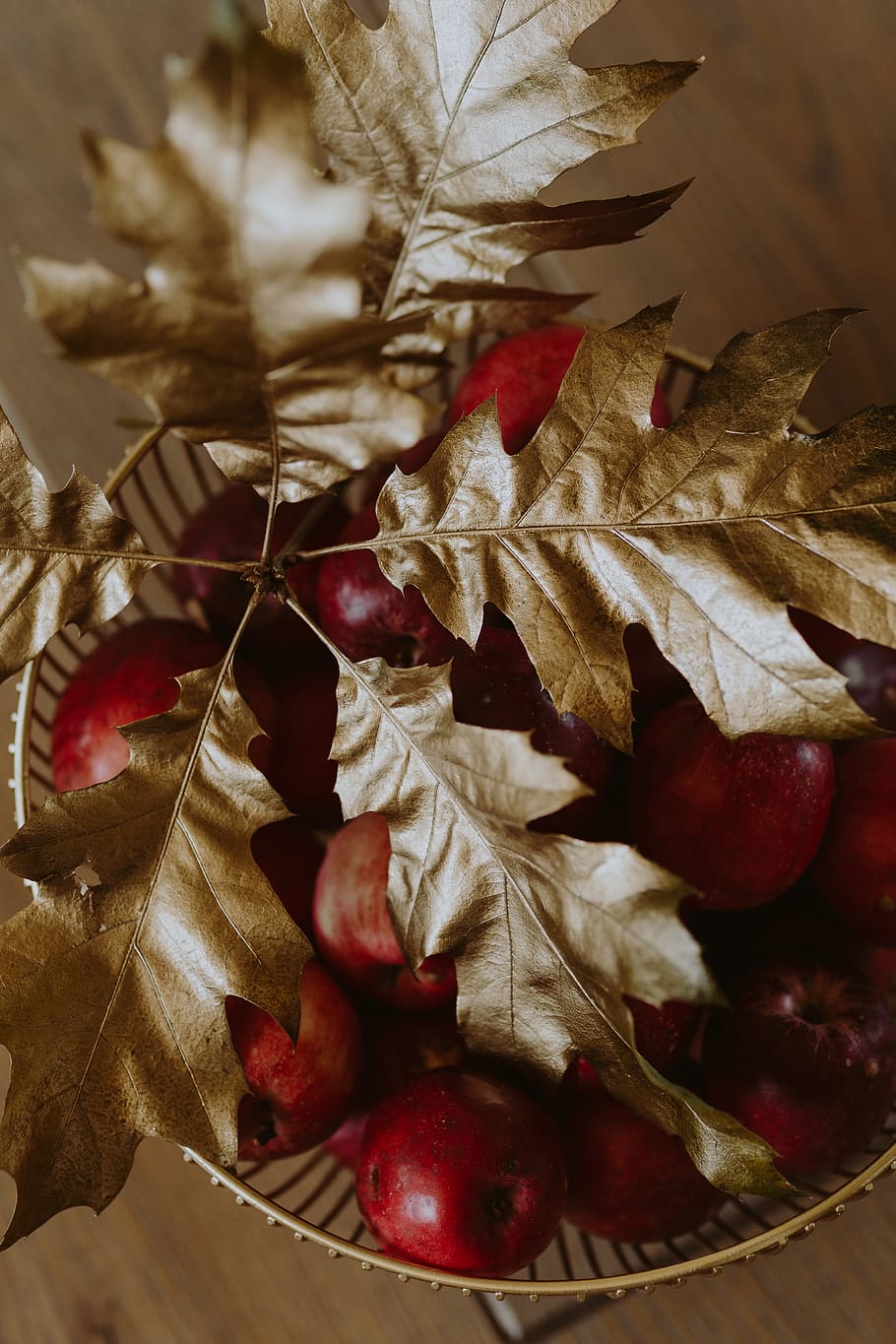 красный, яблоки, золотой, дуб, листья, яблоко, красное яблоко, сусальное золото, золотые листья, золотой дуб