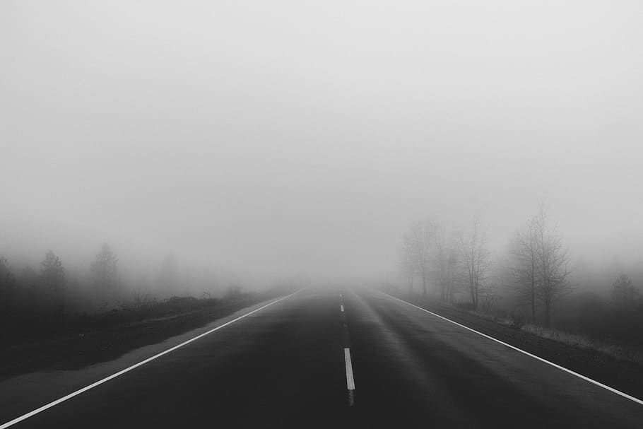 estrada, rua, rodovia, nevoeiro, névoa, viagem, tráfego, transporte, árvores, místico